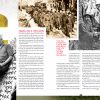 World War I: True stories from Vimy to victory - Image 3
