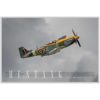 Vintage Warbirds Poster – Mustang (V.1)