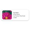 Personalized Spring Peony Mailing Labels