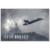 CF-18 Hornet